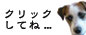 りふぉんクリックしてね...