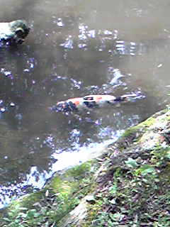 Image030.jpg
