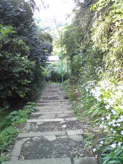 Image442.jpg