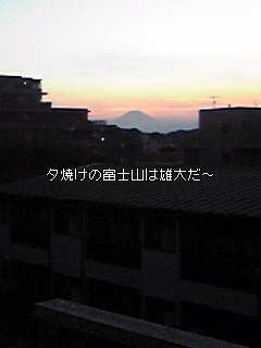Image805.jpg