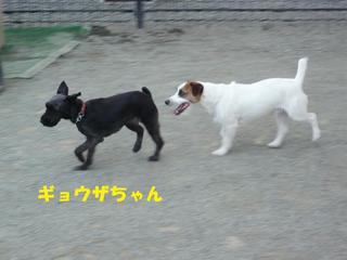 P1020918.JPG