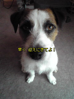 Image1007.jpg