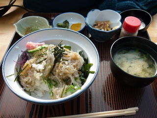 P1000817.JPG