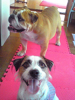 Image6099~00.jpg