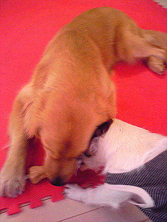 Image6344.jpg
