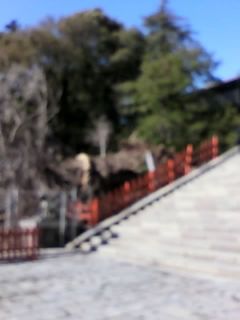 10-03-10_004.jpg