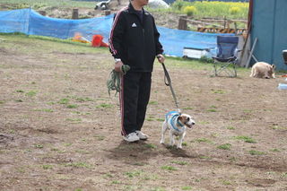 IMG_4369.JPG