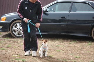 IMG_4347.JPG