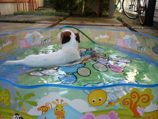 P1010017.JPG