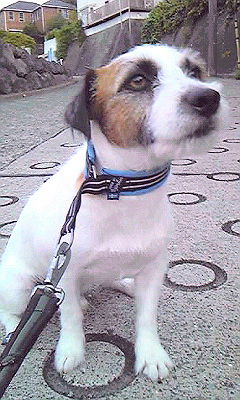 100914_174825.jpg