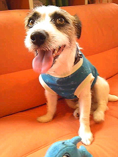 100916_085248.jpg