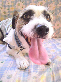 100917_073006.jpg