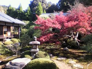 10-11-19_010.jpg