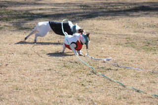IMG_6800.JPG