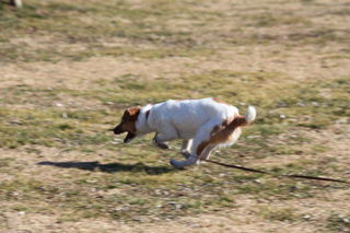 IMG_6826.JPG