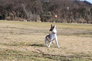 IMG_6833.JPG