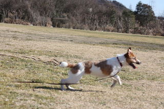 IMG_6837.JPG