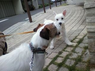 11-04-21_002.jpg