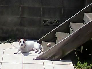 11-04-27_001.jpg