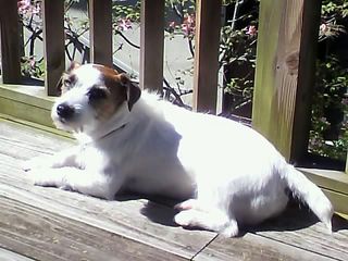 11-04-28_002.jpg