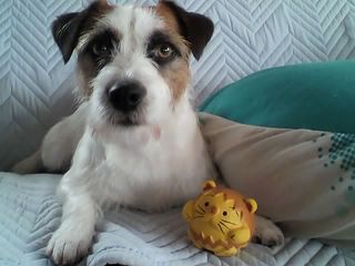 11-05-11_009.jpg