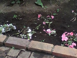 11-05-23_002.jpg
