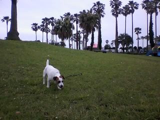 11-05-27_004.jpg