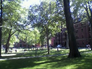 11-06-28_007.jpg
