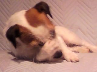 11-08-05_003.jpg