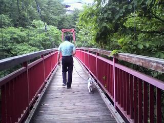 11-08-17_015.jpg