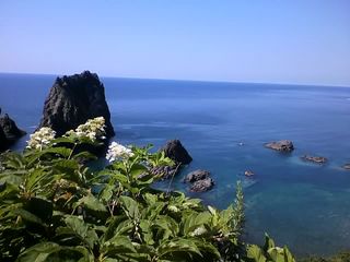 11-08-20_008.jpg
