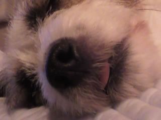 11-08-31_007.jpg