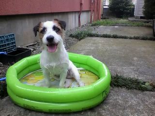 11-09-02_004.jpg