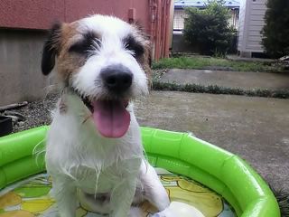11-09-02_005.jpg