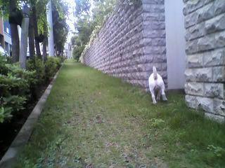 11-09-05_002.jpg