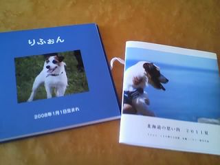 11-09-10_007.jpg