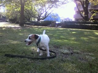 11-09-13_005.jpg