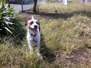 11-09-28_003.jpg