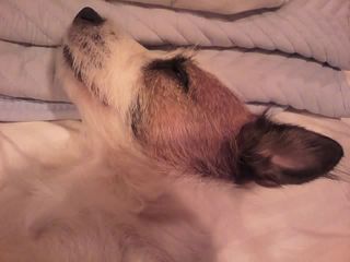 11-10-10_009.jpg