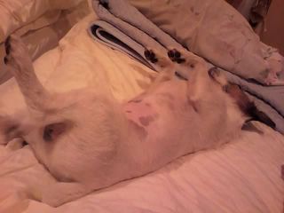 11-10-10_008.jpg