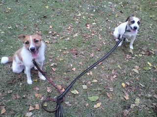 11-10-17_007.jpg