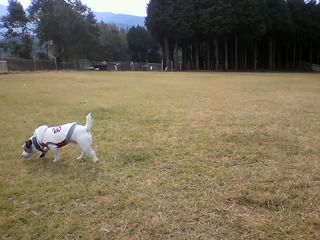 11-10-30_003.jpg