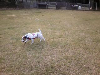 11-10-30_002.jpg