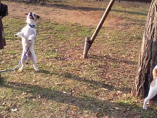 11-11-04_012.jpg