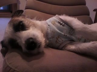 11-11-09_009.jpg
