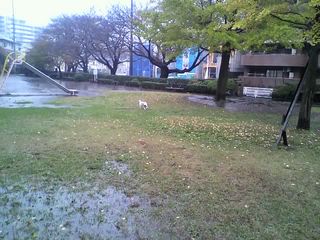 11-11-11_007.jpg