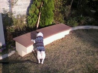 11-11-12_003.jpg
