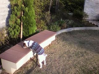 11-11-12_004.jpg