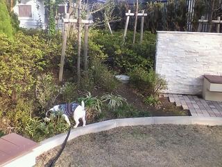 11-11-12_005.jpg