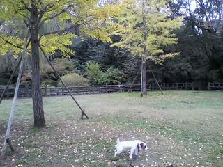 11-11-15_004.jpg